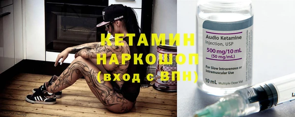 прущие грибы Гусиноозёрск