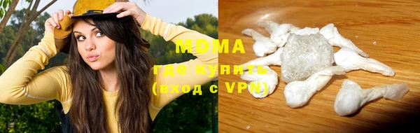 прущие грибы Гусиноозёрск