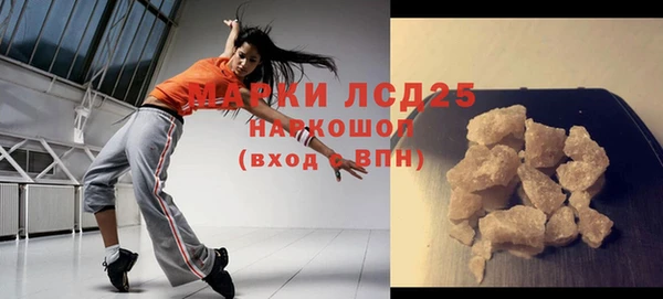 прущие грибы Гусиноозёрск