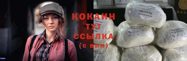 прущие грибы Гусиноозёрск