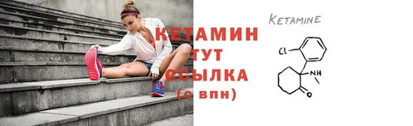 прущие грибы Гусиноозёрск