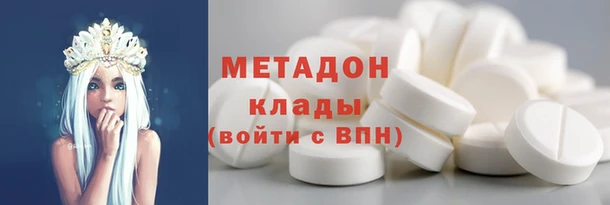 прущие грибы Гусиноозёрск