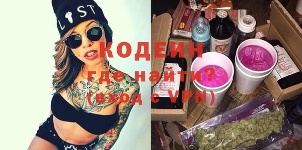 прущие грибы Гусиноозёрск