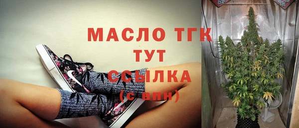 прущие грибы Гусиноозёрск