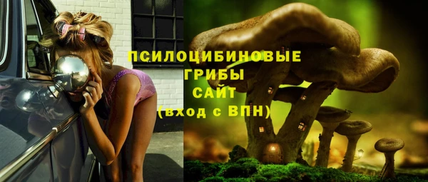 прущая мука Гусь-Хрустальный