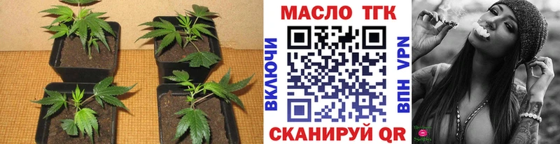 Купить  Отрадное  ТГК концентрат 